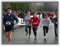 DZ151 * 2272 x 1704 * (1.21MB)