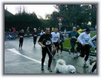 IMAG0032 * 2304 x 1728 * (1.49MB)