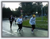 IMAG0065 * 2304 x 1728 * (1.49MB)