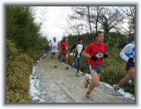 IMG_6075 * 1600 x 1200 * (434KB)