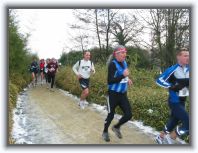 IMG_6087 * 1600 x 1200 * (424KB)