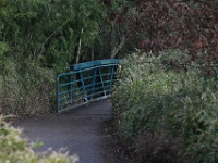 TBC22-OI-5et10km-353